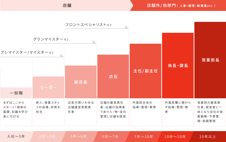 キャリアパス　グラフ